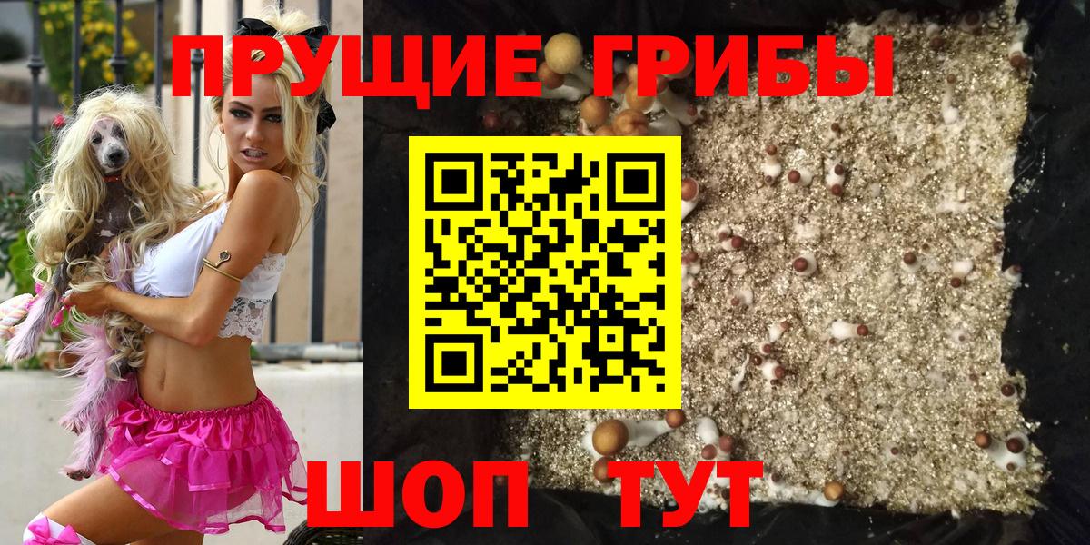 Галлюциногенные грибы мухоморы Анжеро-Судженск
