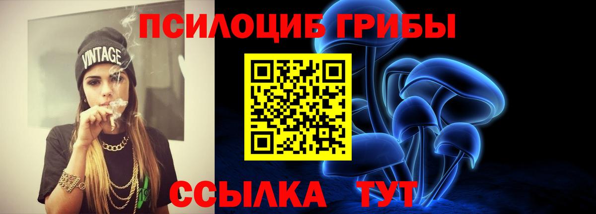 Галлюциногенные грибы мухоморы  где продают   Анжеро-Судженск  Псилоцибиновые грибы мицелий  Вход с VPN 